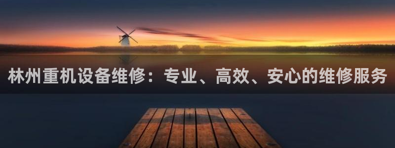 天玺娱乐彩票宏利团队
