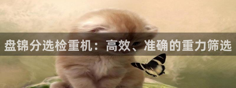 天宏娱乐老男孩直播