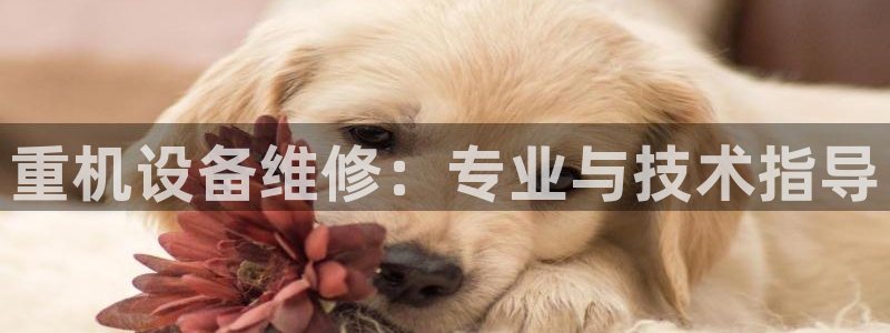 天宏娱乐广西吴叔