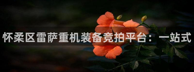 天宏娱乐管a事443593：怀柔区雷萨重机装备竞拍平台：一站
