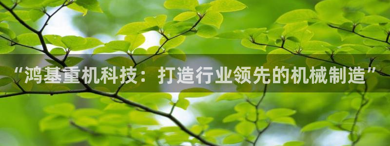 天宏娱乐秦叔：“鸿基重机科技：打造行业领先的机械制造”