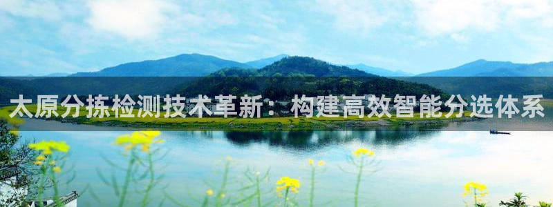 天宏娱乐卢叔：太原分拣检测技术革新：构建高效智能分选体系