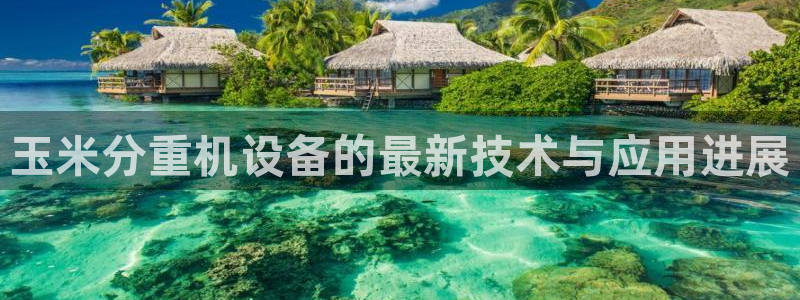 天宏娱乐怎样赚钱的：玉米分重机设备的最新技术与应用进展