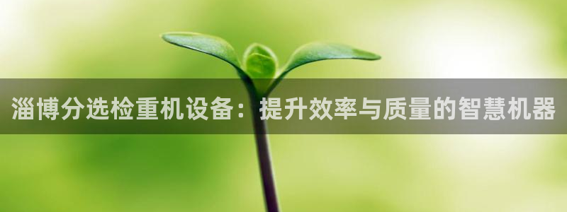 天宏娱乐的王叔：淄博分选检重机设备：提升效率与质量的智慧机器