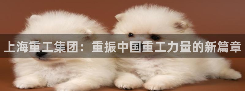 天宏娱乐老男孩文叔：上海重工集团：重振中国重工力量的新篇章