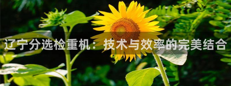 天宏2娱乐平台
