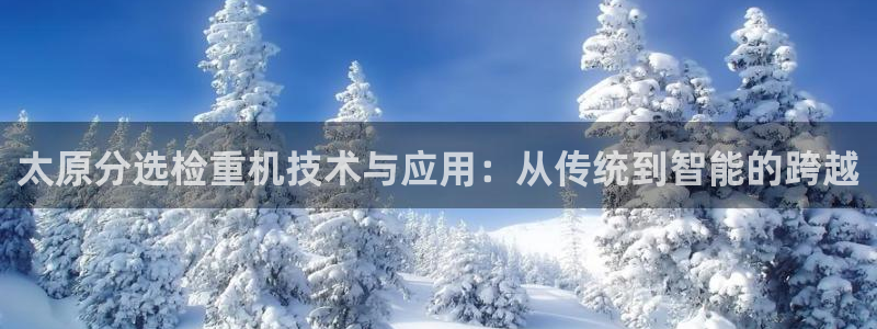 天宏娱乐赵叔：太原分选检重机技术与应用：从传统到智能的跨越