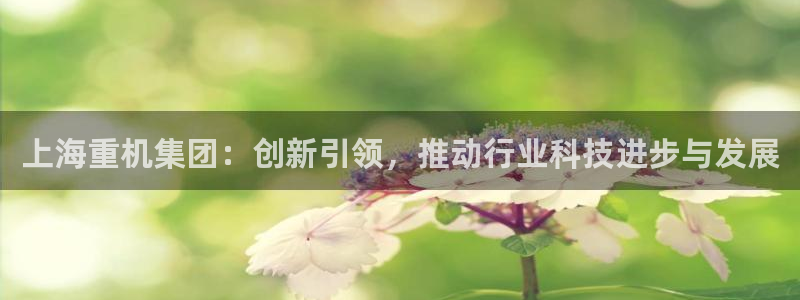 天宏娱乐倒闭了吗现在：上海重机集团：创新引领，推动行业科技进