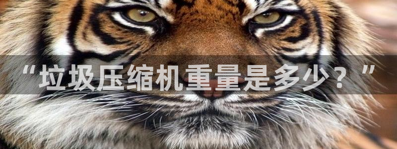 天宏娱乐大叔团成员：“垃圾压缩机重量是多少？”