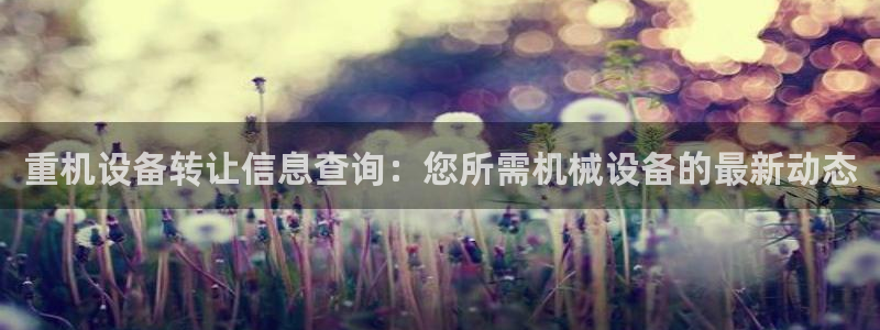 天宏娱乐青风