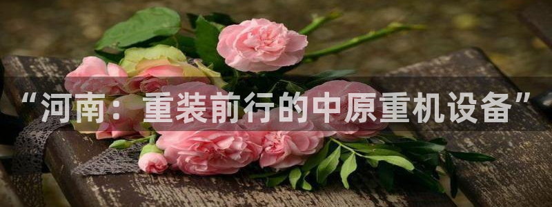 天宏娱乐q33300