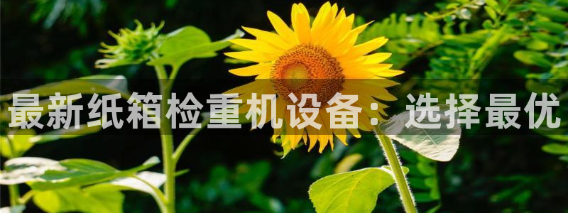 天宏娱乐倒闭了吗