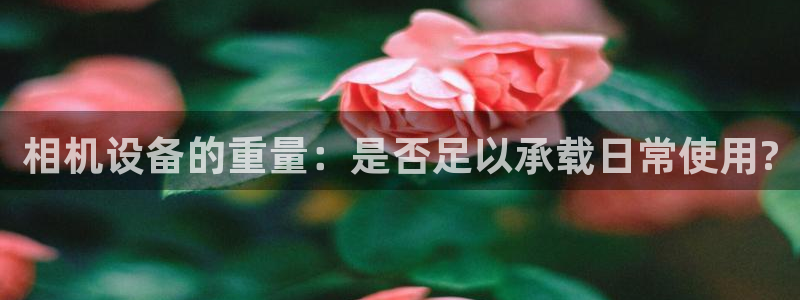 天宏娱乐石叔是谁