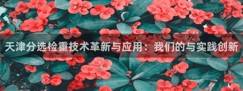 天宏娱乐星歌总部