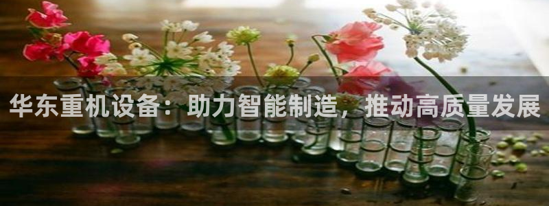 西安天宏娱乐老男孩：华东重机设备：助力智能制造，推动高质量发