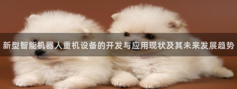 天宏娱乐创始人河源：新型智能机器人重机设备的开发与应用现状及