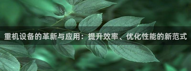 秦皇岛天宏娱乐会所电话：重机设备的革新与应用：提升效率、优化