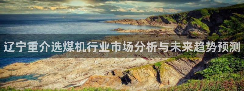 天宏娱乐直播是哪里的：辽宁重介选煤机行业市场分析与未来趋势预