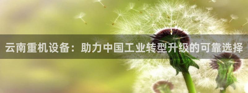 天宏娱乐丨金手指17