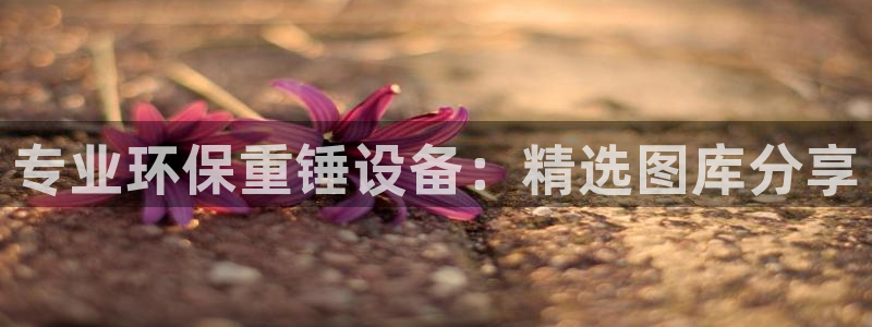 天宏娱乐运营29229