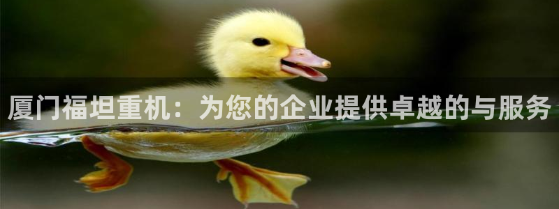 天宏娱乐代理：厦门福坦重机：为您的企业提供卓越的与服务