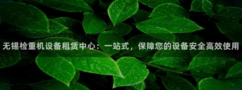 天宏娱乐 92229实c力：无锡检重机设备租赁中心：一站式，