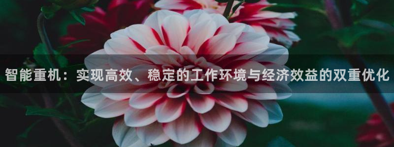 天宏娱乐公会