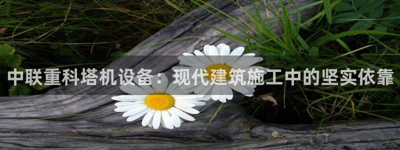 天亿娱乐宏发团队招聘：中联重科塔机设备：现代建筑施工中的坚实