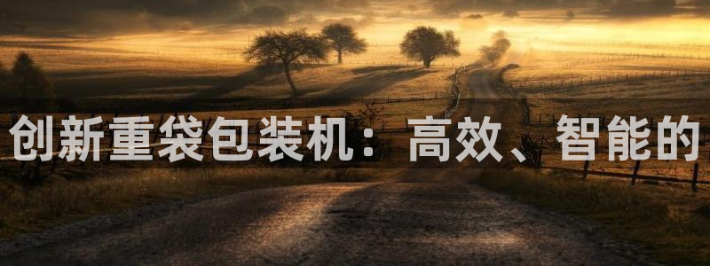 天宏娱乐会所地址电话：创新重袋包装机：高效、智能的