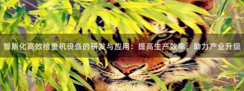 天宏娱乐董事长：智能化高效检重机设备的研发与应用：提高生产效