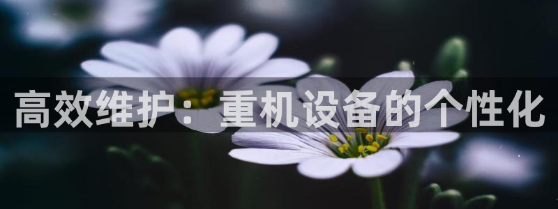 天宏娱乐666：高效维护：重机设备的个性化