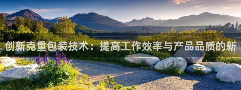 天宏娱乐总店电话地址：创新克重包装技术：提高工作效率与产品品