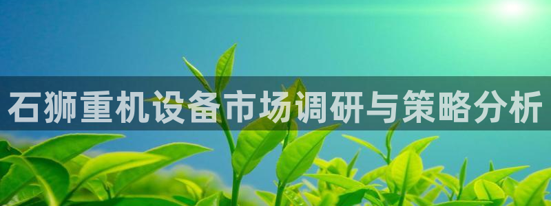 天宏娱乐：石狮重机设备市场调研与策略分析