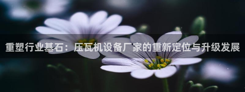 天宏娱乐是国企吗