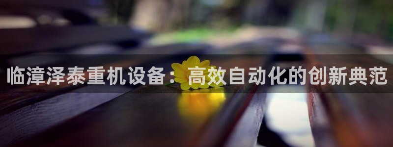 天宏娱乐丁叔