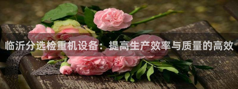 天宏娱乐k 判官