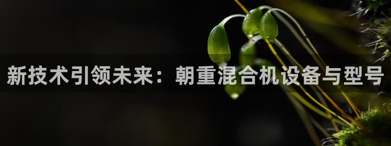 天宏娱乐直播直播间