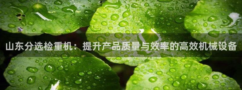 天宏娱乐官网平台