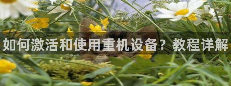 西安天宏娱乐团