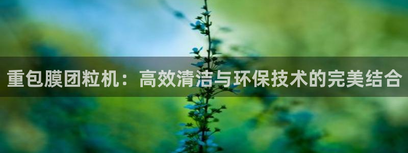 天宏娱乐集团董事长：重包膜团粒机：高效清洁与环保技术的完美结