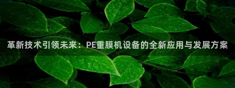天宏娱乐直播团