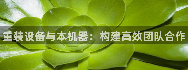 天宏娱乐豆豆：重装设备与本机器：构建高效团队合作