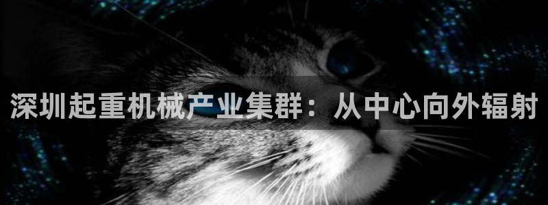 天宏娱乐大叔团队介绍图片：深圳起重机械产业集群：从中心向外辐