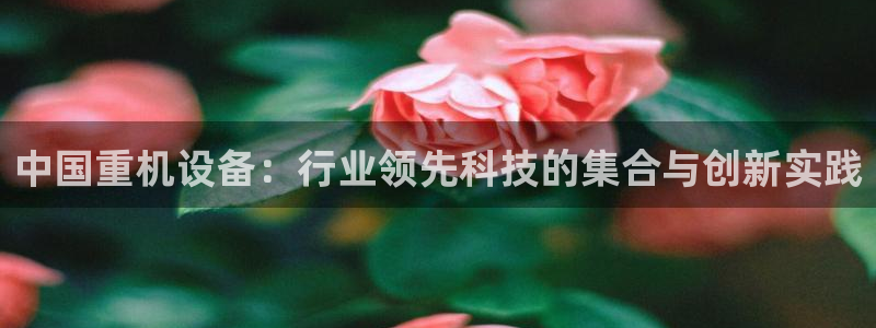 天宏娱乐河源：中国重机设备：行业领先科技的集合与创新实践