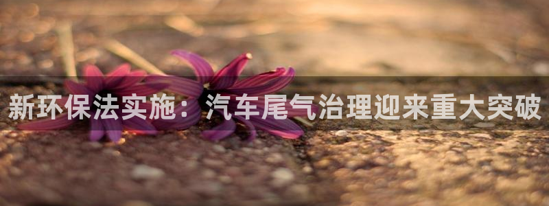 天宏娱乐招商：新环保法实施：汽车尾气治理迎来重大突破