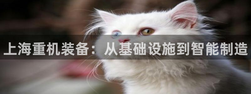 天宏娱乐有明星么：上海重机装备：从基础设施到智能制造