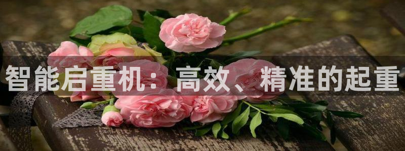 天宏娱乐老韩：智能启重机：高效、精准的起重