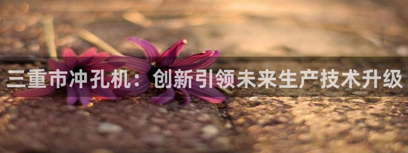 天宏娱乐星空大叔：三重市冲孔机：创新引领未来生产技术升级
