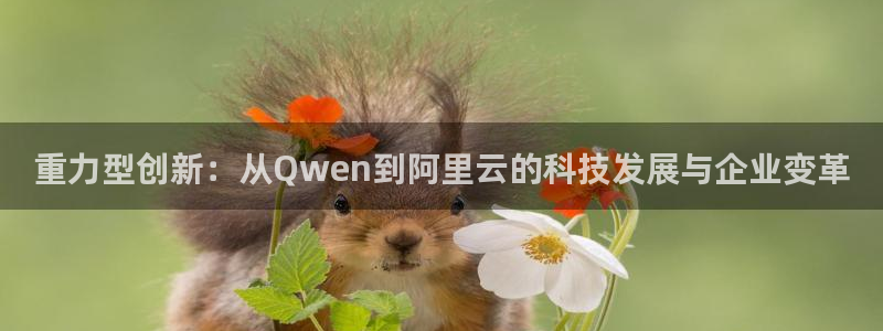 天宏娱乐秦叔：重力型创新：从Qwen到阿里云的科技发展与企业