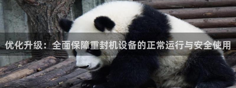 天宏娱乐2主管：优化升级：全面保障重封机设备的正常运行与安全